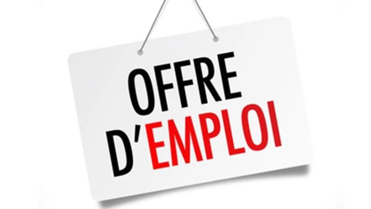 Opportunité d’emploi : Deux (02) Caissiers H/F recherchés par une microfinance au Togo