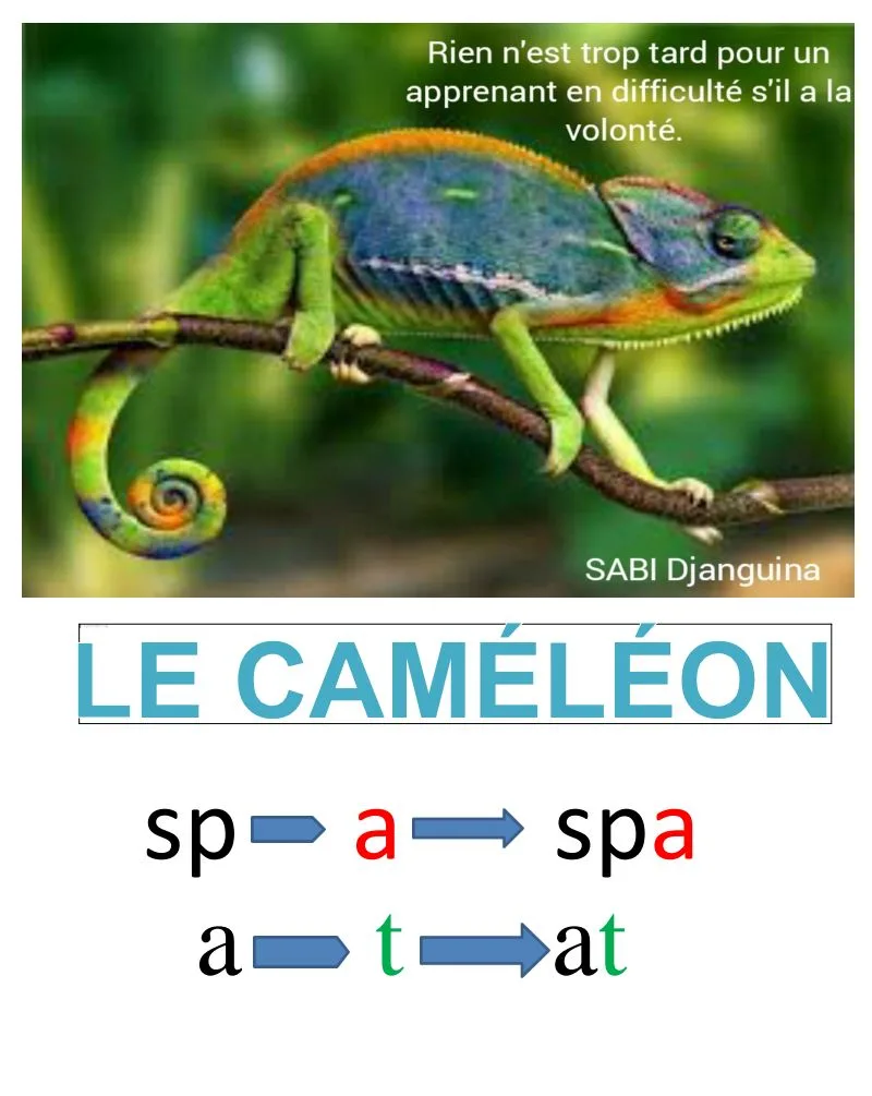 LE CAMÉLÉON, DOCUMENT GUIDE DE LECTURE DE L'ENSEIGNANT