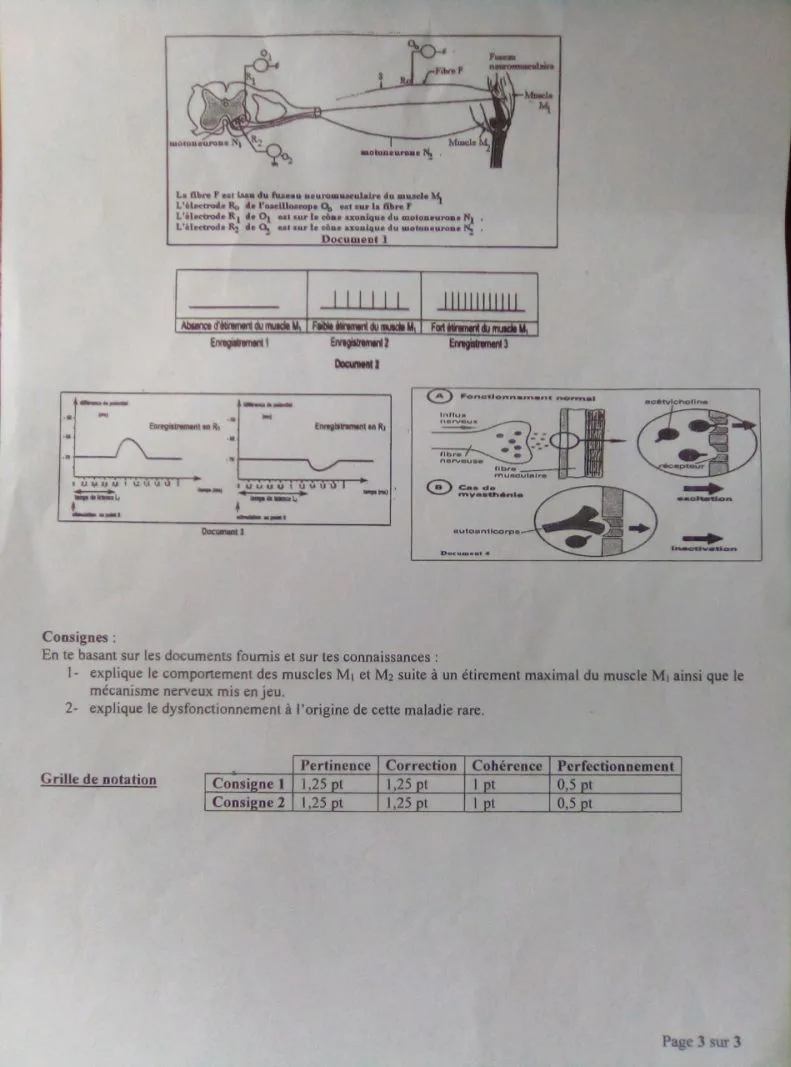 BAC BLANC UEMOA 2026 SVT SUJET CORRIGÉ TLE D :edusocialnews