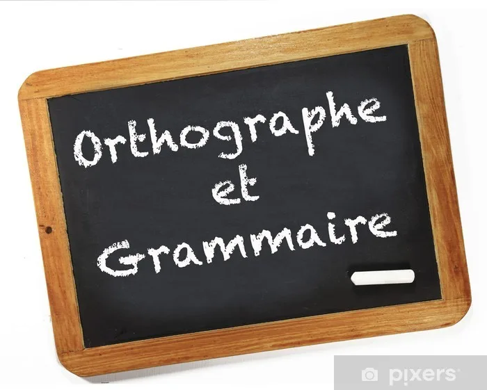 Tout, Tous, Toute, Toutes : Ne Faites Plus Jamais la Faute !