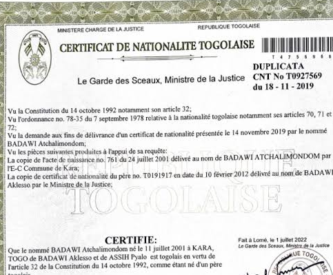 Demander son certificat de nationalité togolaise en ligne : le guide complet pas à pas
